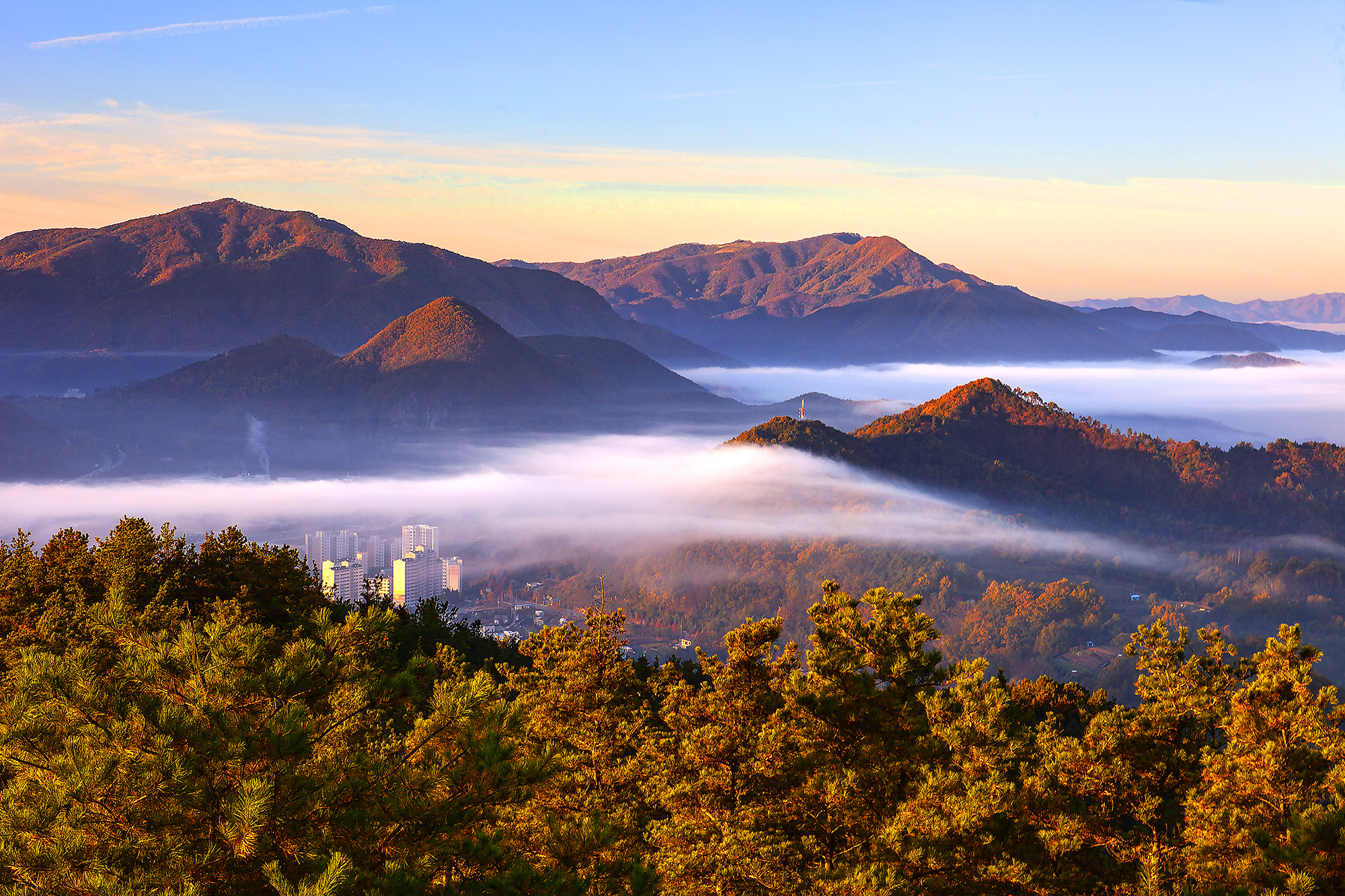 향로산에서 본 무주읍