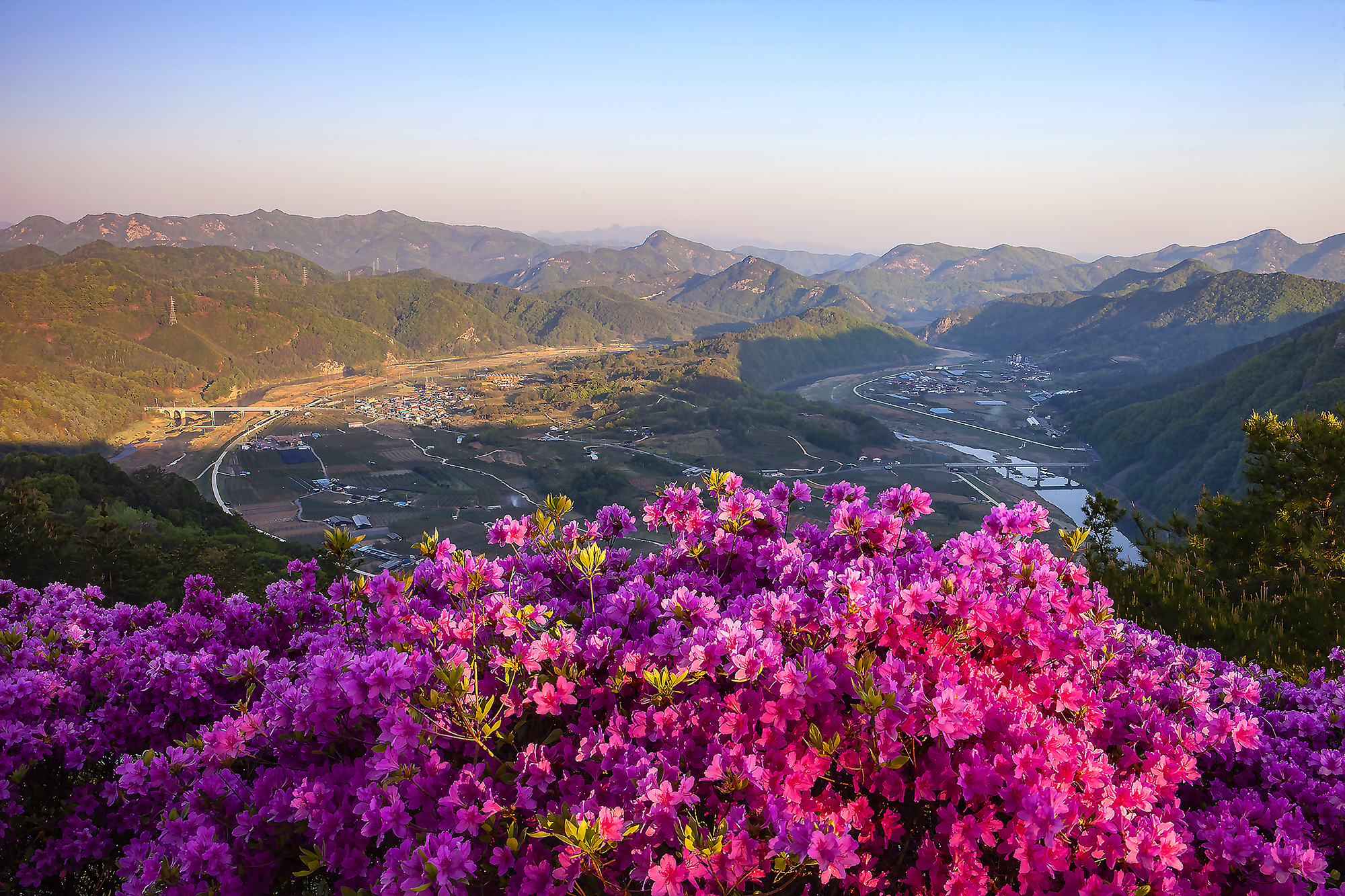 향로산의 봄