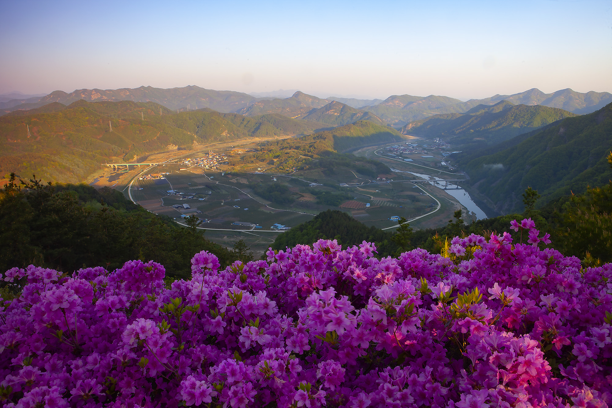 향로산의 봄