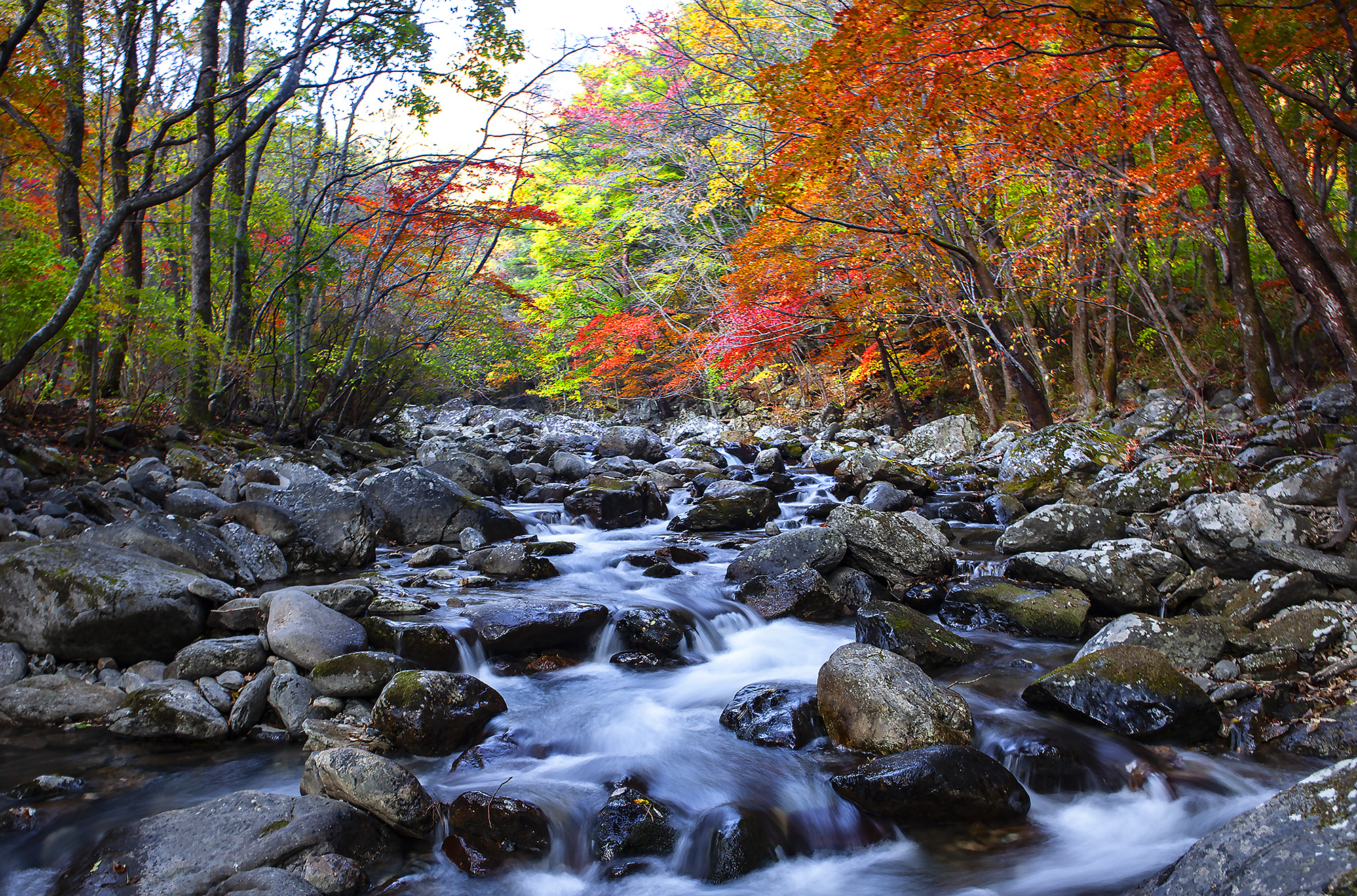 무주구천동의 가을