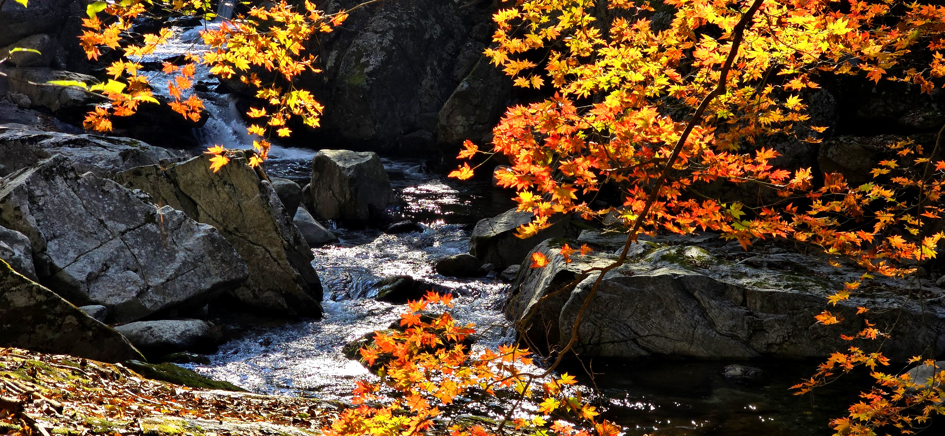 구천동의 가을1