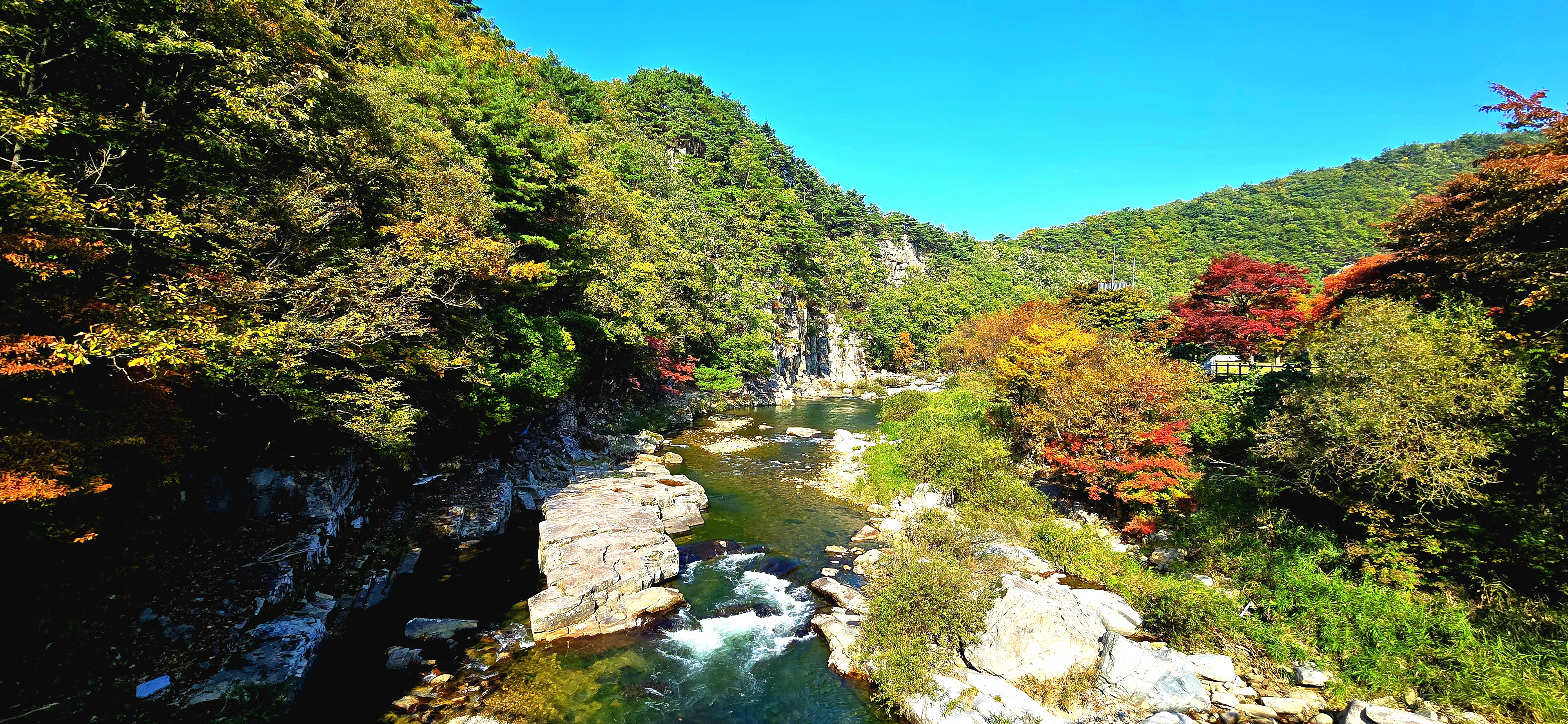 구천동의 가을1