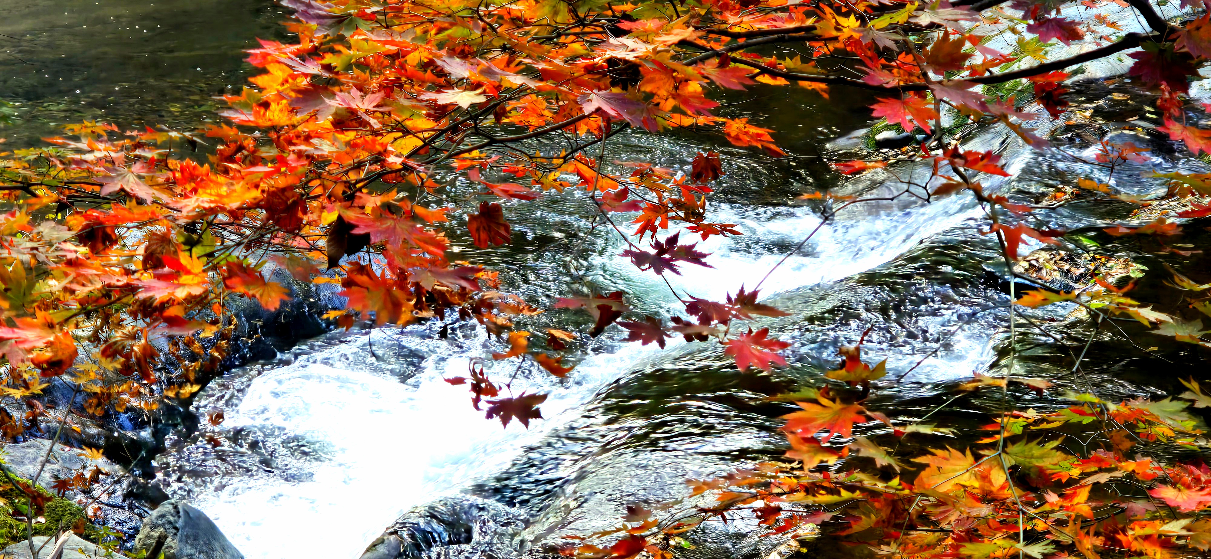 구천동의 가을1