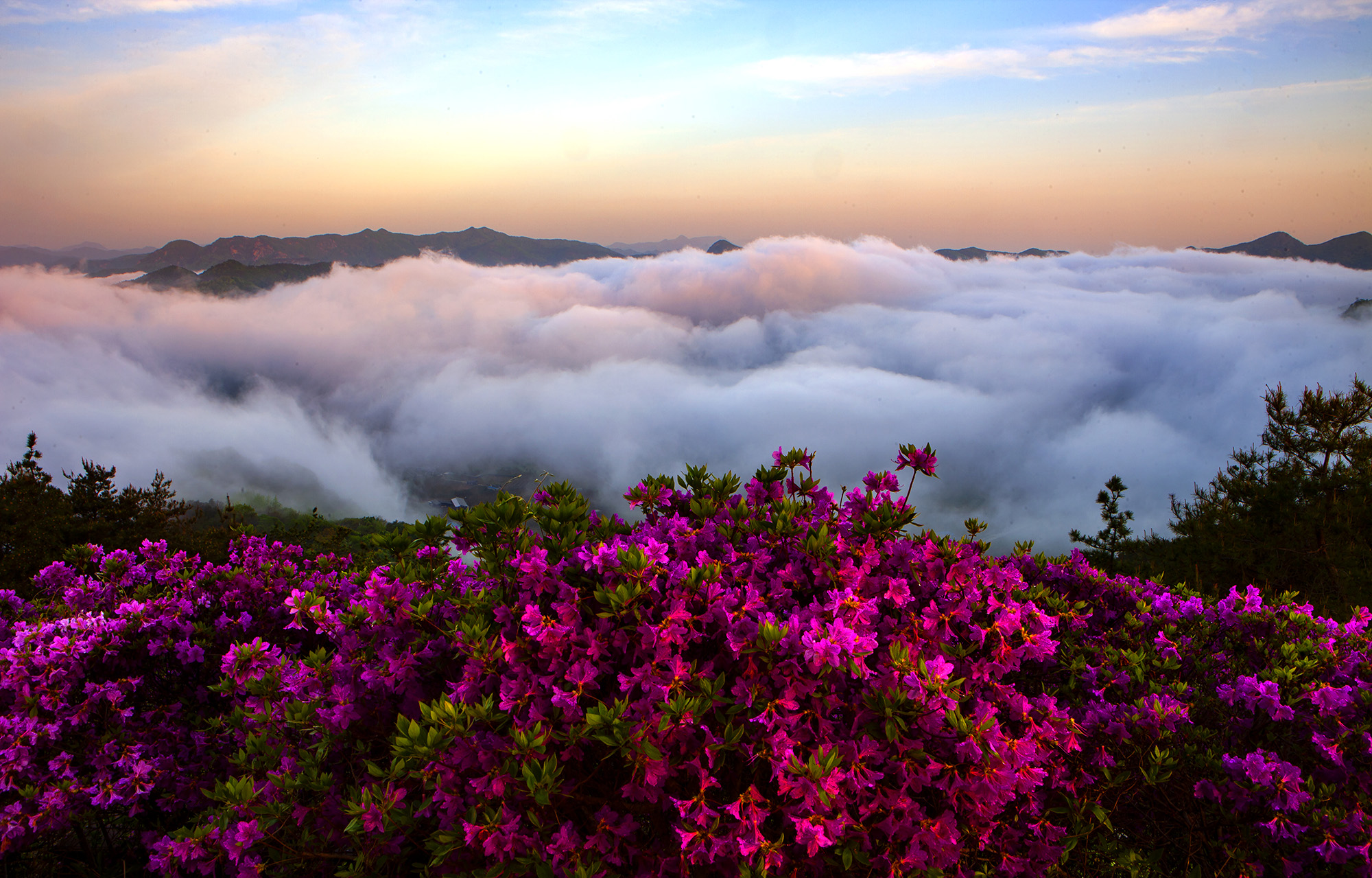 향로산