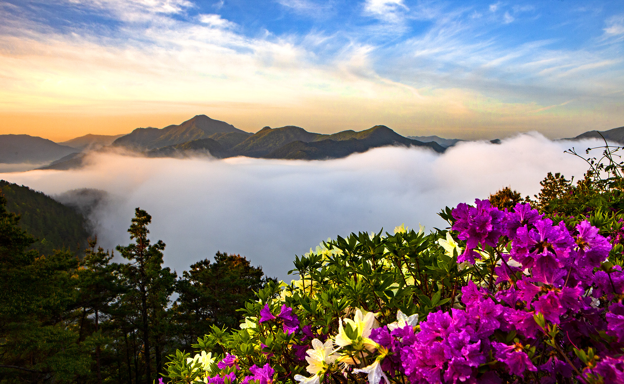 향로산
