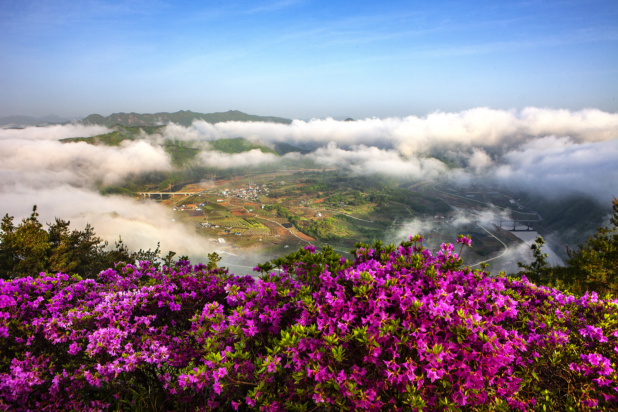 향로산
